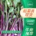 优选当阳红菜苔大量现货直发商超品质价格可谈欢迎致电