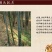 新鲜竹笋干竹笋丝冬笋干笋手剥笋竹笋尖嫩笋干干货干菜蔬菜干
