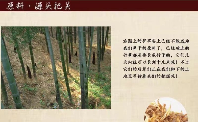 新鲜竹笋干竹笋丝冬笋干笋手剥笋竹笋尖嫩笋干干货干菜蔬菜干