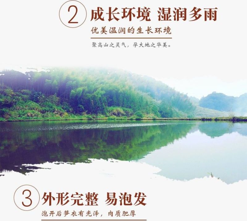 笋干笋衣竹笋干货干笋嫩竹笋干竹笋批发干菜火锅食材新鲜蔬菜
