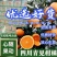 四川青见柑桔四川特产,诚信代办直供，现摘现发一条龙服务