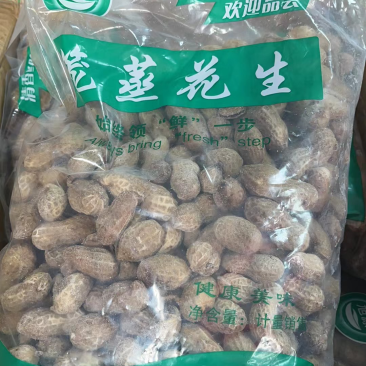 煮花生，蒸笼花生，小吃店，烧烤店，成都库房现货供应