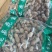 煮花生，蒸笼花生，小吃店，烧烤店，成都库房现货供应