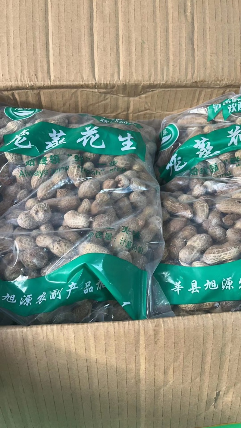煮花生，蒸笼花生，小吃店，烧烤店，成都库房现货供应