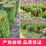 【精选】青州佛珠可以视频看货规格齐全品质保证一手货源