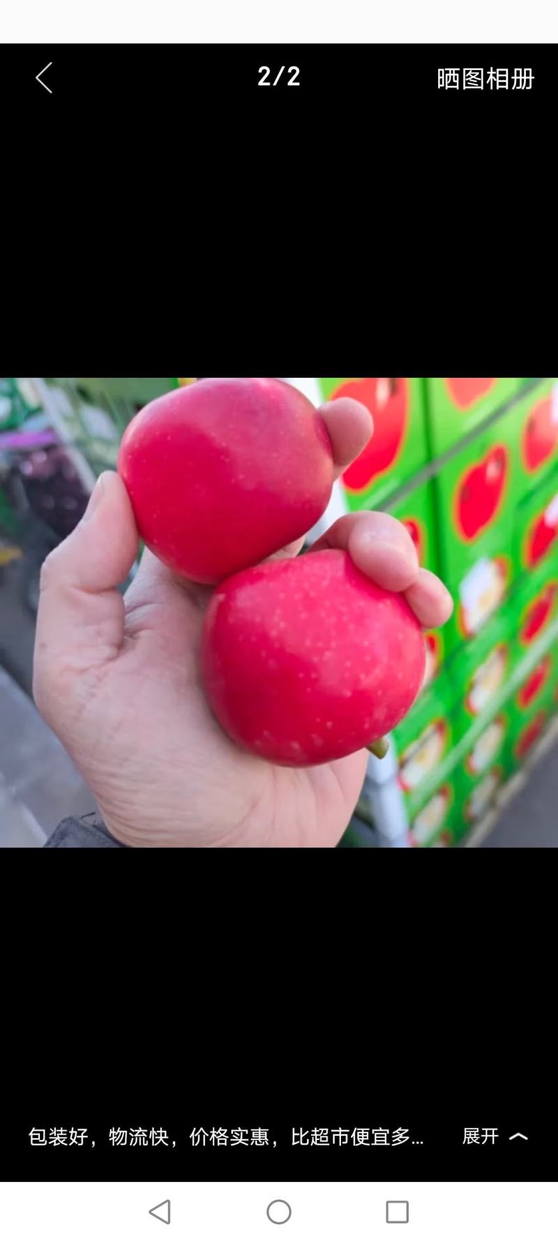 苹果苗新品种黄玫瑰，王林，蜜入，火箭果，水蜜桃苹果苗