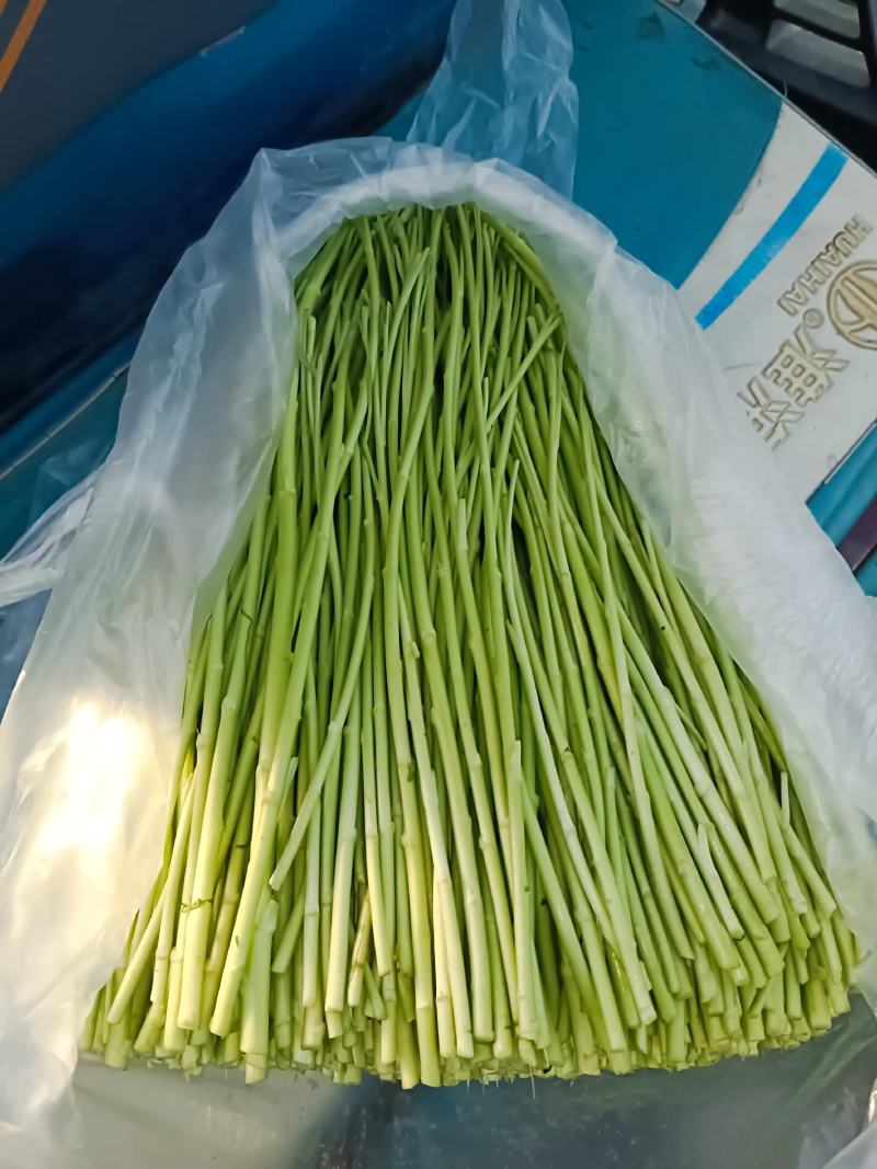 自产自销，芦蒿基地直发，没有中间商赚差价，欢迎新老客户咨