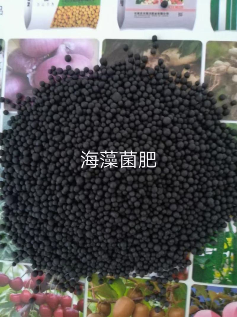 微生物菌肥有机肥海藻有机菌肥颗粒粉剂现货