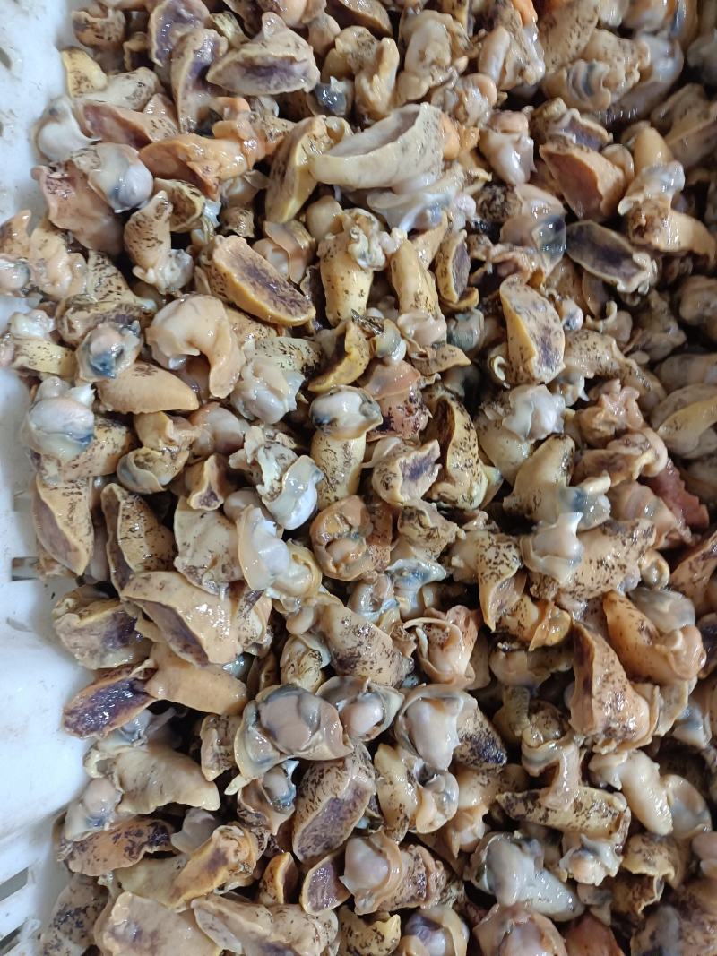鲍螺肉，老婆脚肉大小规格都有货