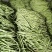 欢迎各位老板下单