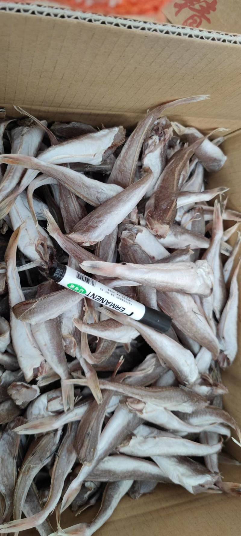 红娘鱼干红头鱼干皮棍鱼小鱼干场地直发海产品批发