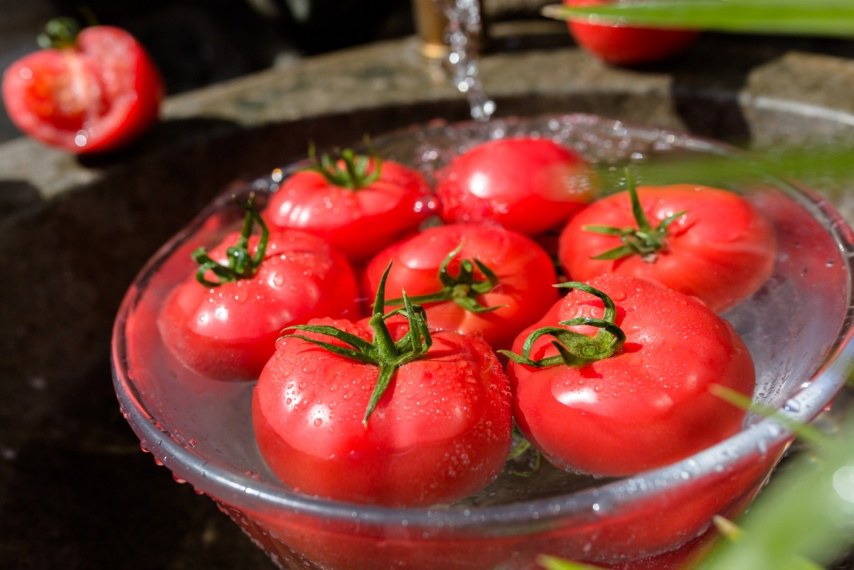 西红柿清洗过程图示