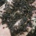乌龙茶茶碎长年供应，