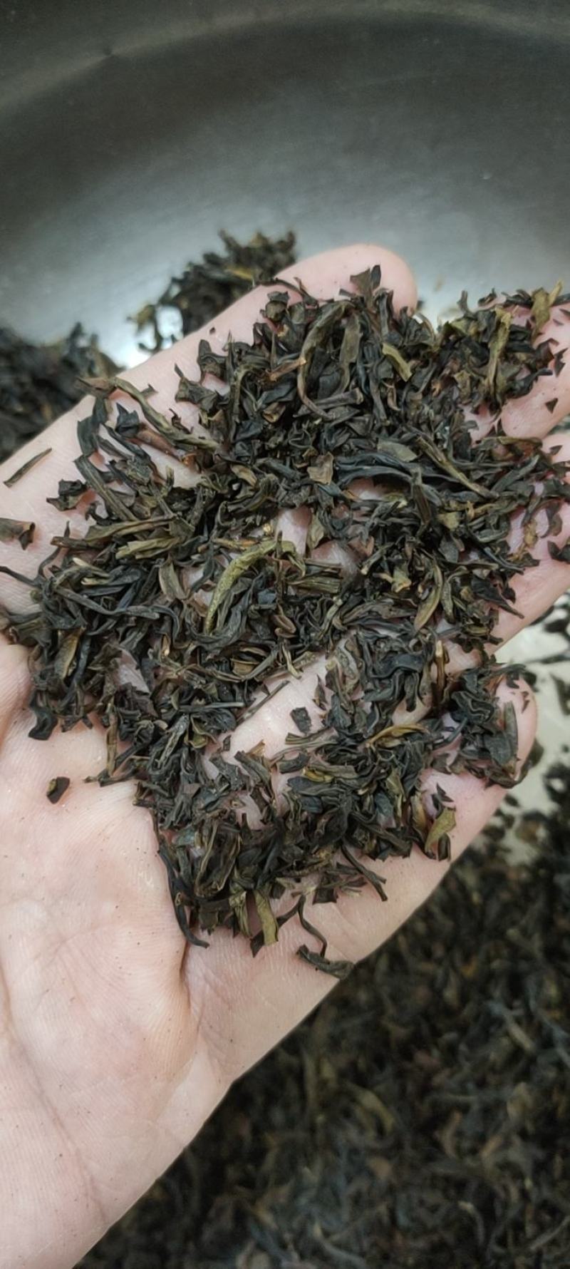 乌龙茶茶碎长年供应，