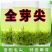 [毛尖绿茶]2023新茶毛尖绿茶高山雨前嫩芽正宗手工春