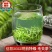 [毛尖绿茶]2023新茶毛尖绿茶高山雨前嫩芽正宗手工春