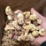 【口感脆嫩】云南姬松茸产地直销一手货源量大价优