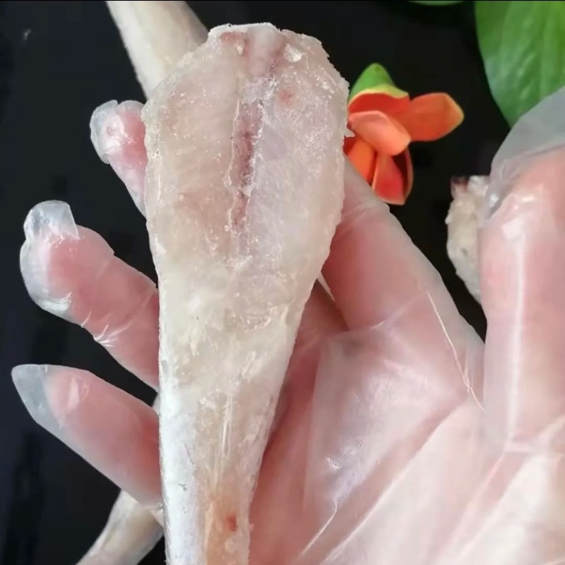 当季红娘子鱼去头去皮去内脏红娘鱼新鲜速冻红头鱼海鲜