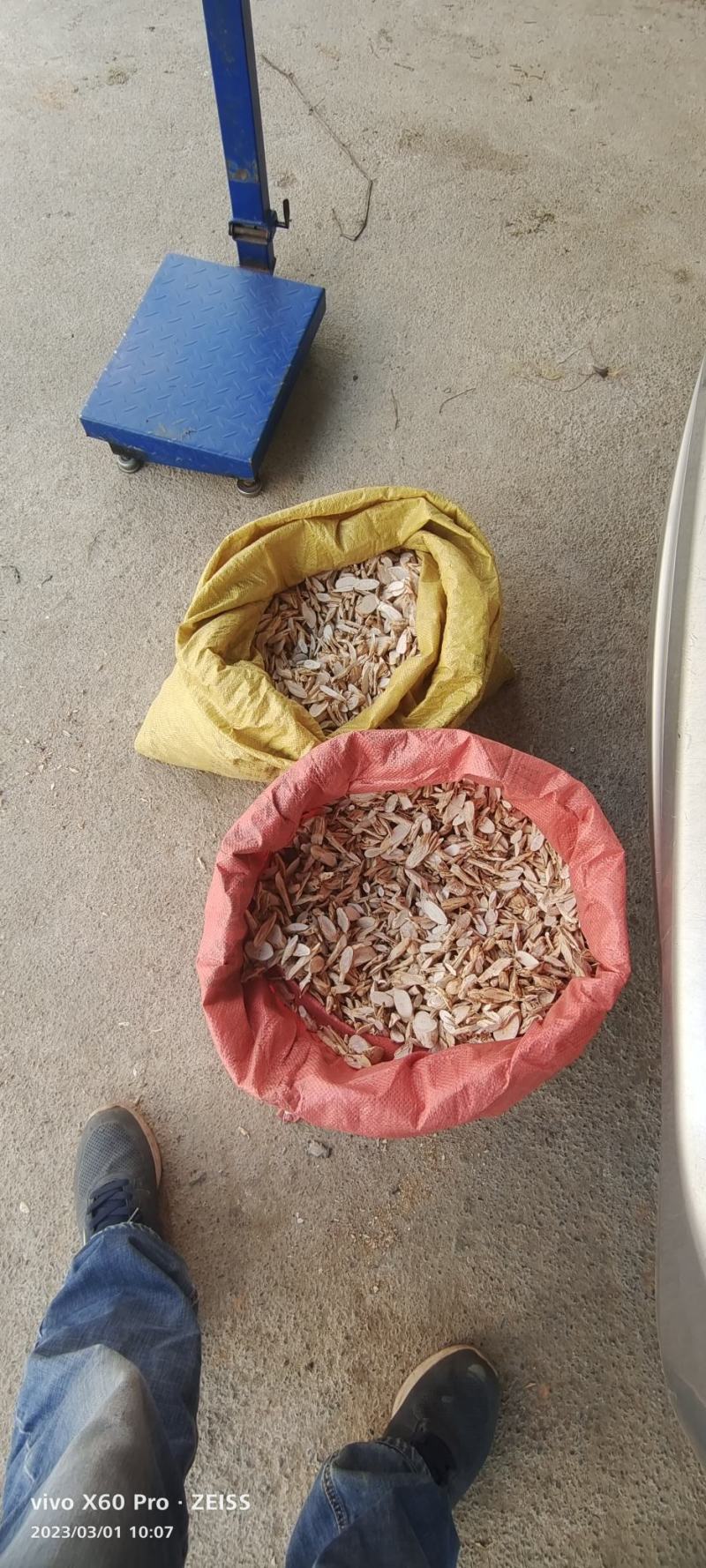 野生牛大力