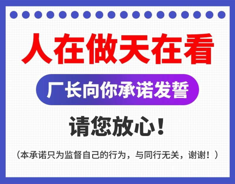 新国标电动车成人新款电动自行车两轮48V锂电池电瓶车双人