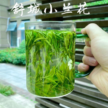舒城小兰花2023新茶叶安徽明前高山绿茶正宗原产地浓香型