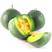 绿宝石甜瓜种子批发正品香瓜种籽绿肉薄皮超甜高产四季水果种