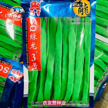绿龙3号扁豆种子四季豆扁条架豆菜豆种籽早熟无筋豆种