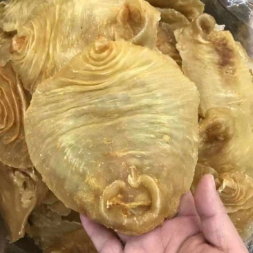 花胶足干A货黑鳘赤嘴顺风赤嘴湛江赤嘴红鸡赤嘴等品种