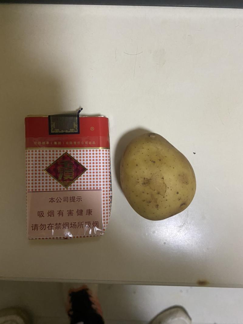 土豆V7