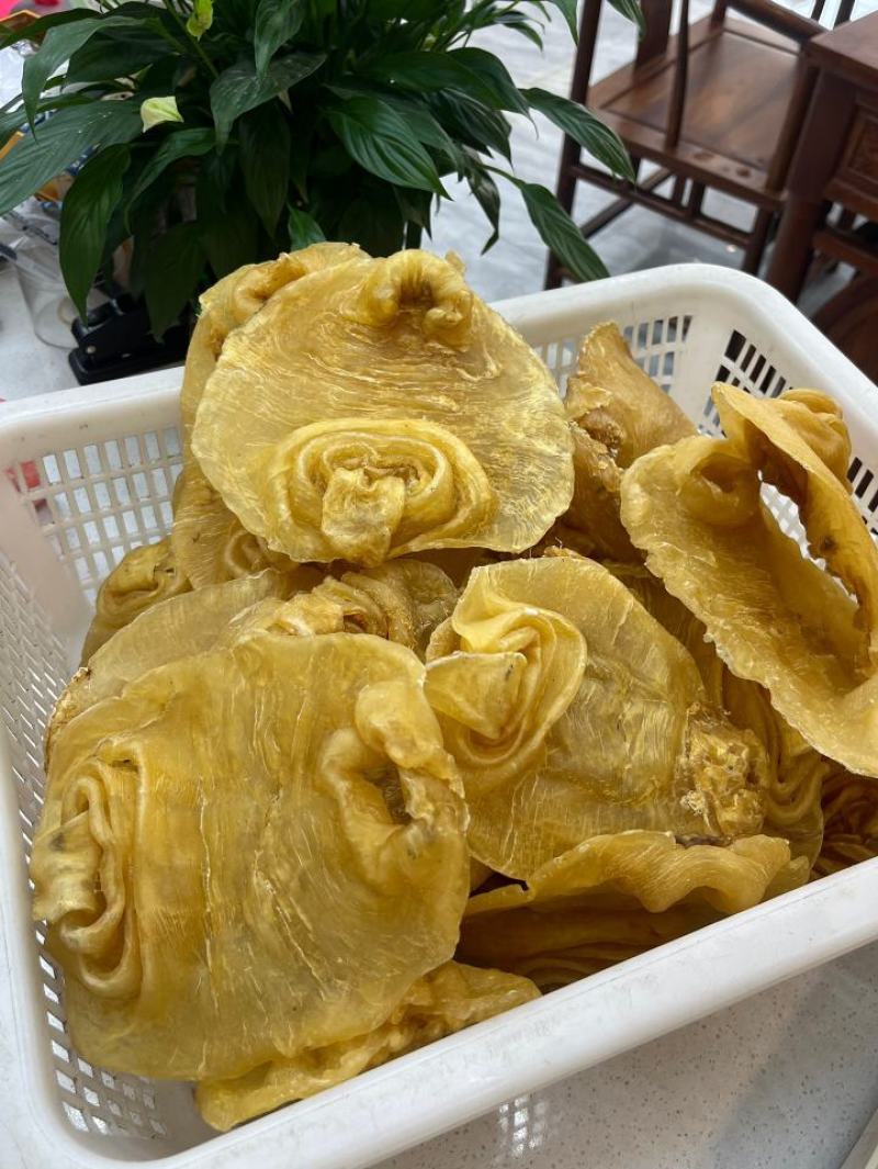 花胶足干A货黑鳘赤嘴顺风赤嘴湛江赤嘴红鸡赤嘴等品种