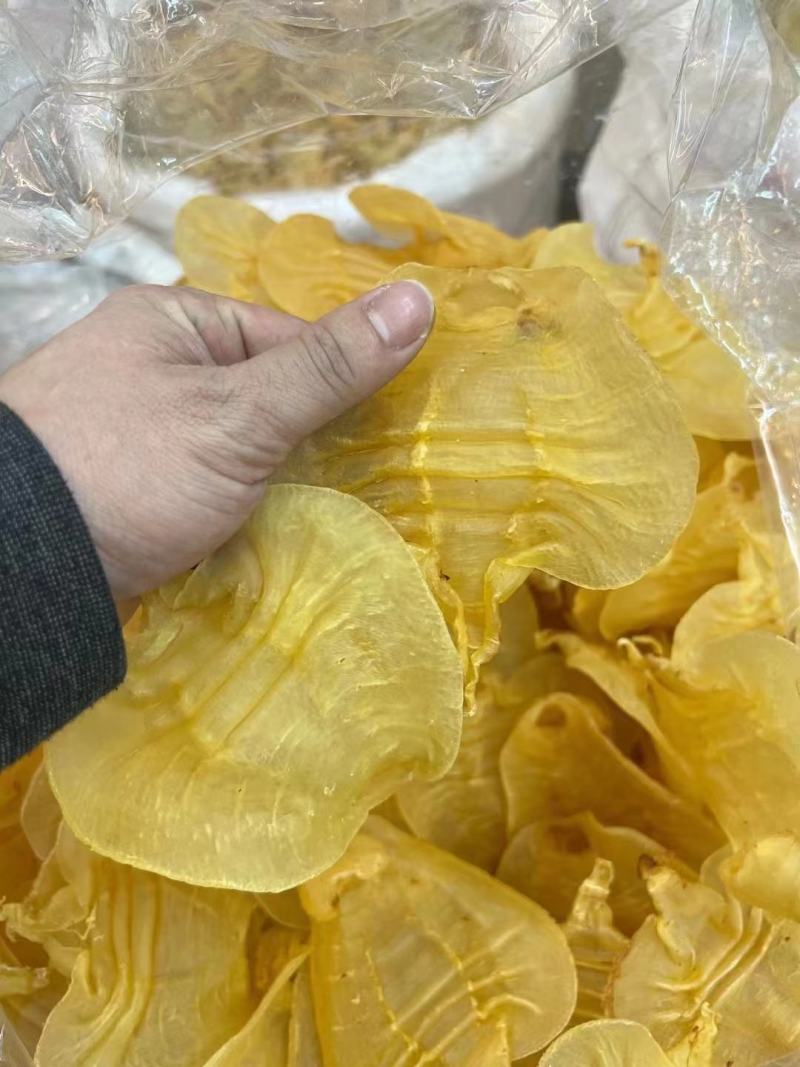 花胶足干A货黑鳘赤嘴顺风赤嘴湛江赤嘴红鸡赤嘴等品种
