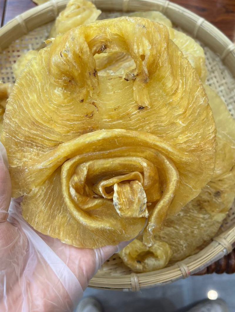 花胶足干A货黑鳘赤嘴顺风赤嘴湛江赤嘴红鸡赤嘴等品种