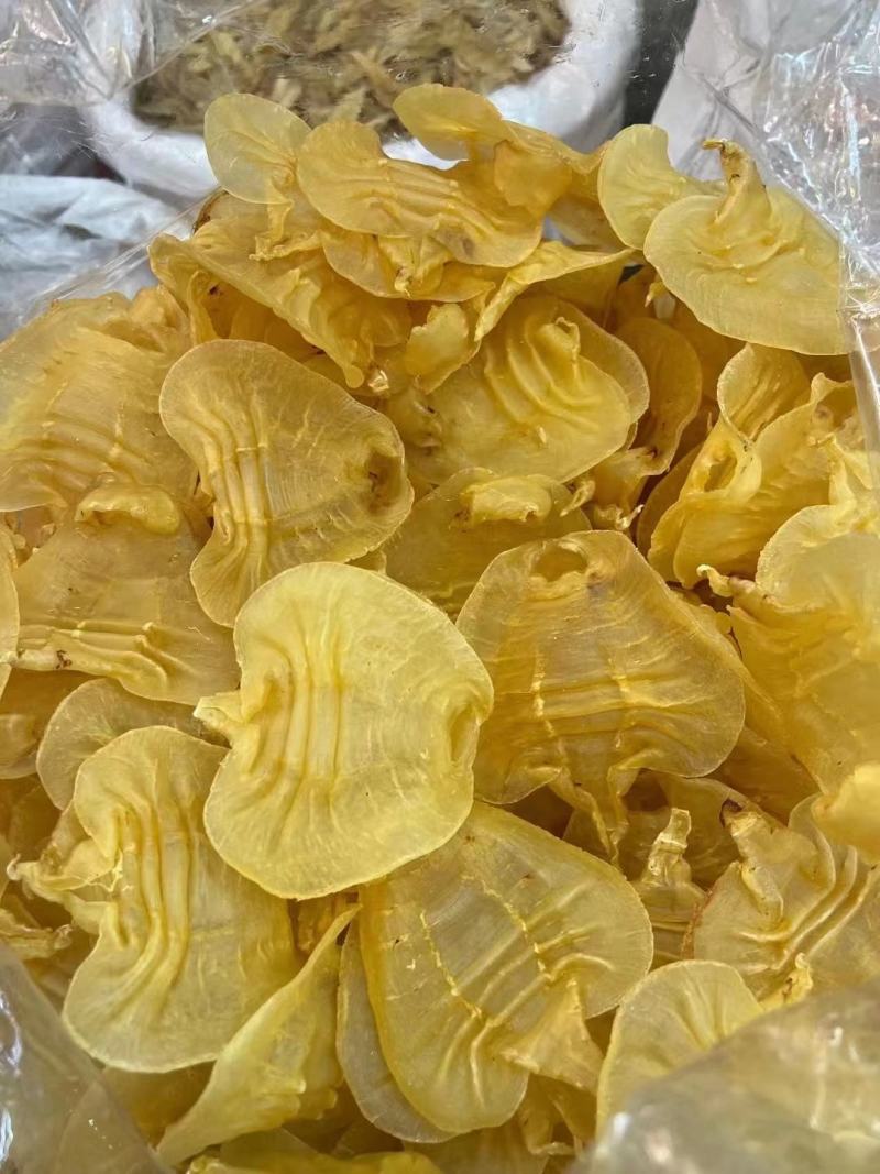 花胶足干A货黑鳘赤嘴顺风赤嘴湛江赤嘴红鸡赤嘴等品种