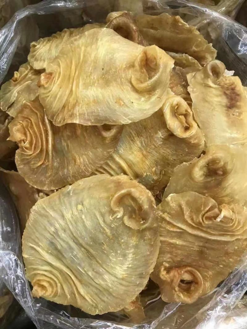 花胶足干A货黑鳘赤嘴顺风赤嘴湛江赤嘴红鸡赤嘴等品种