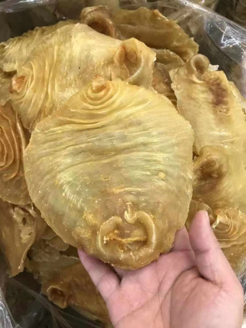 花胶足干A货黑鳘赤嘴顺风赤嘴湛江赤嘴红鸡赤嘴等品种