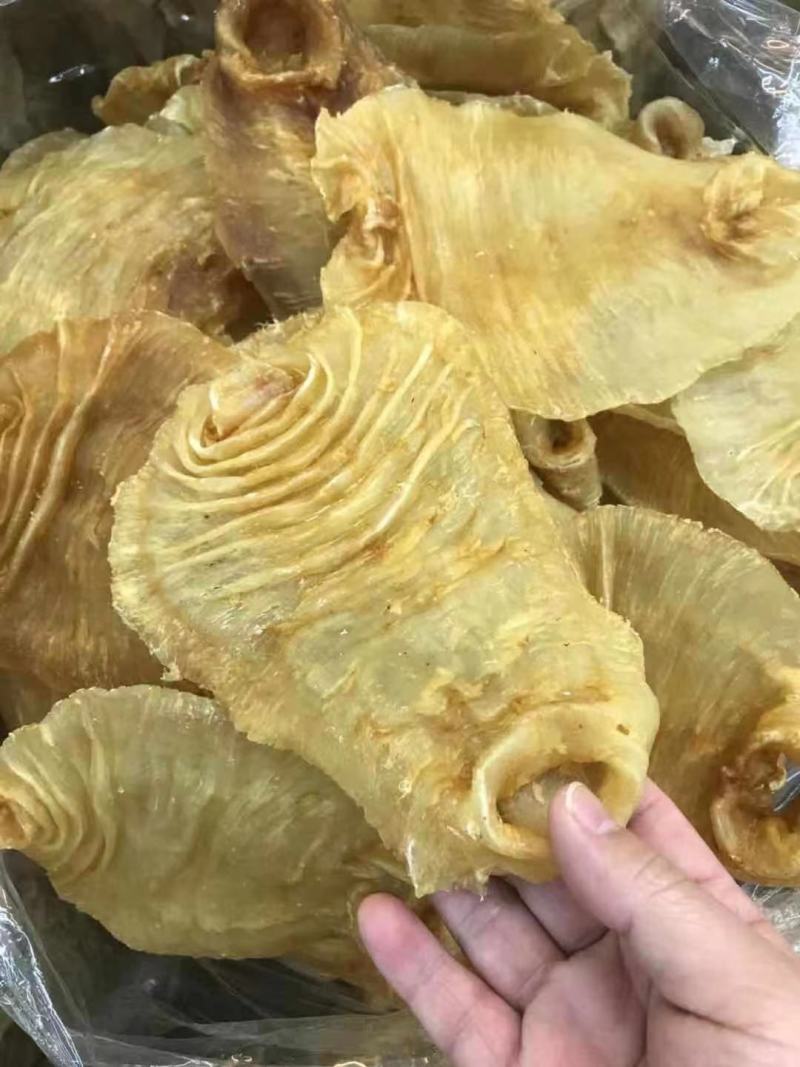 花胶足干A货黑鳘赤嘴顺风赤嘴湛江赤嘴红鸡赤嘴等品种