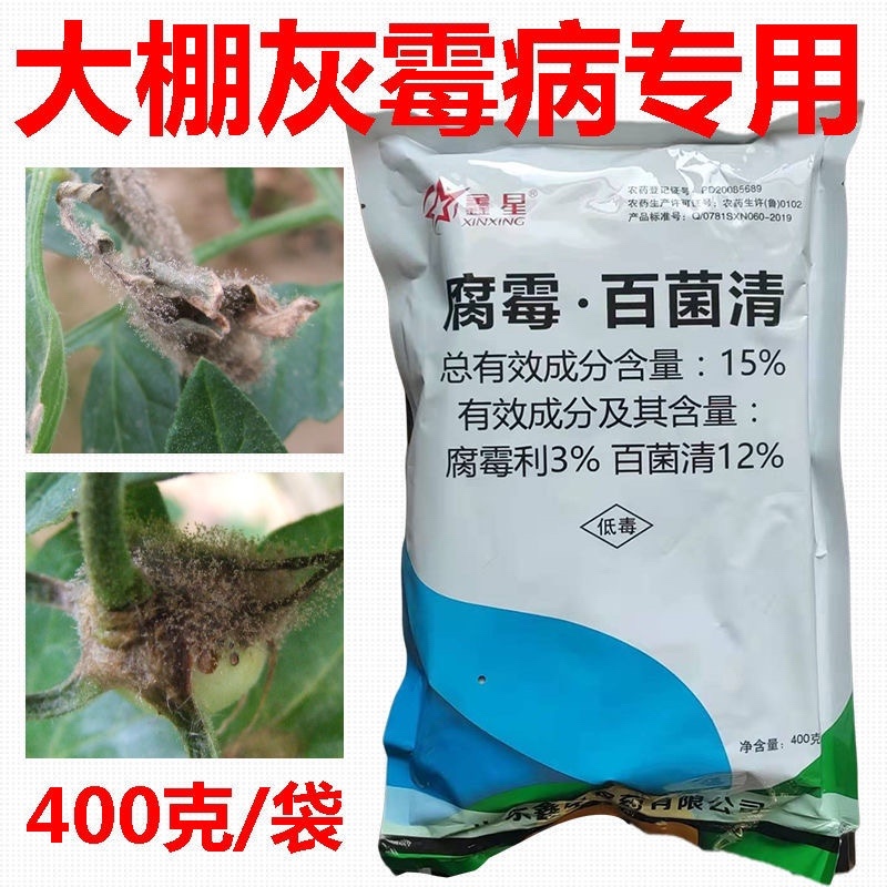 15%腐霉百菌清大棚杀菌剂蔬菜瓜果黄瓜番茄灰霉病大棚