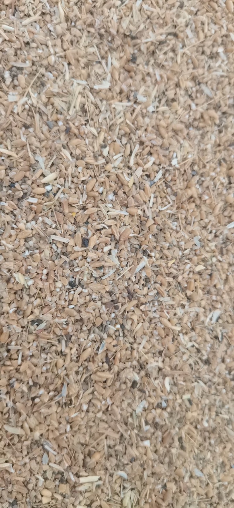净粮毛粮全部现货供应碎玉米碎小米豆粕