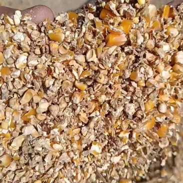 净粮毛粮全部现货供应碎玉米碎小米豆粕