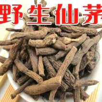 仙茅地道中药材野生仙茅独茅根原色原味泡酒料包邮