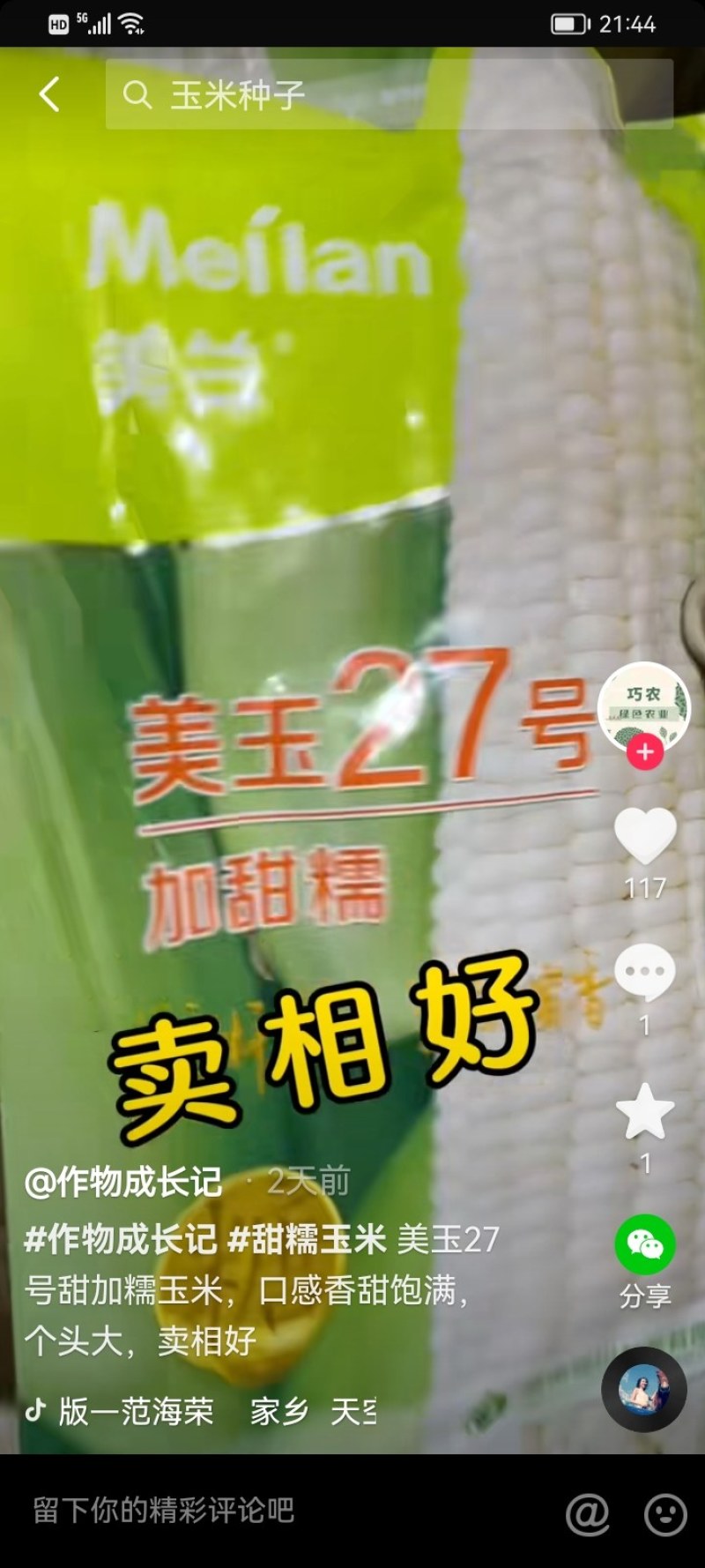 山西糯玉米美玉27，万糯188基地批发