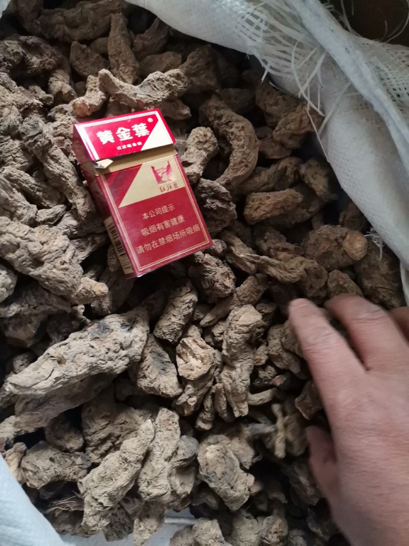 供应丹参