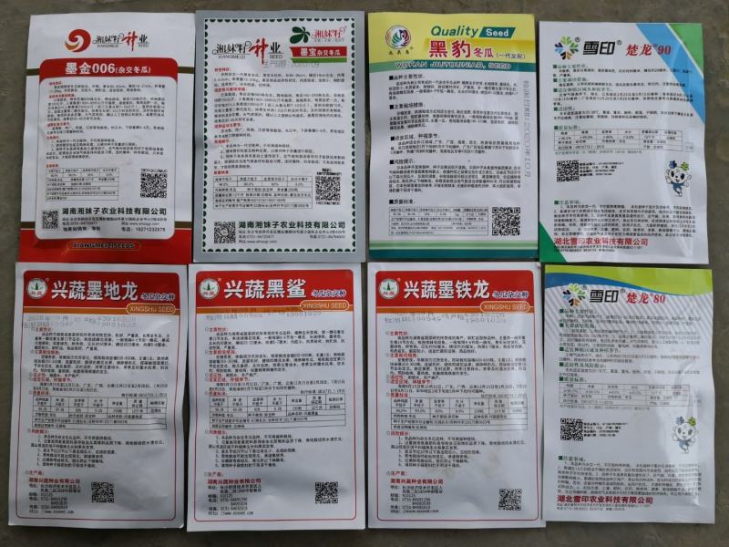 精品冬瓜种子墨地龙,墨铁龙，黑鲨,墨宝,,银狐等