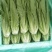 河北油麦菜，本地长年供应各种精品蔬菜