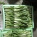 奶白菜小白菜油菜油麦菜生菜，叶类蔬菜基地