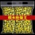 菊花胎菊250g正宗桐乡菊花茶500g菊花茶散装