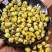 菊花胎菊250g正宗桐乡菊花茶500g菊花茶散装