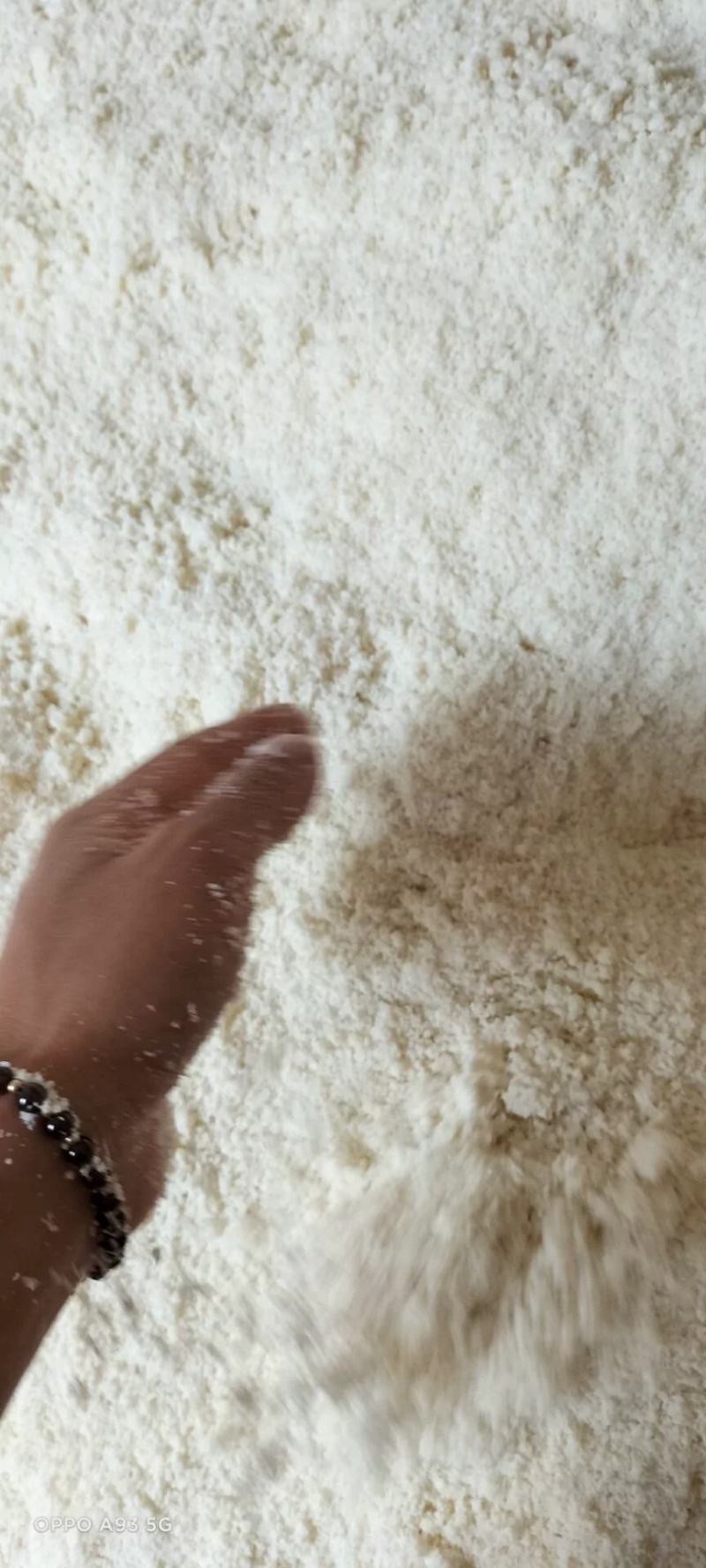 脱水豆腐渣