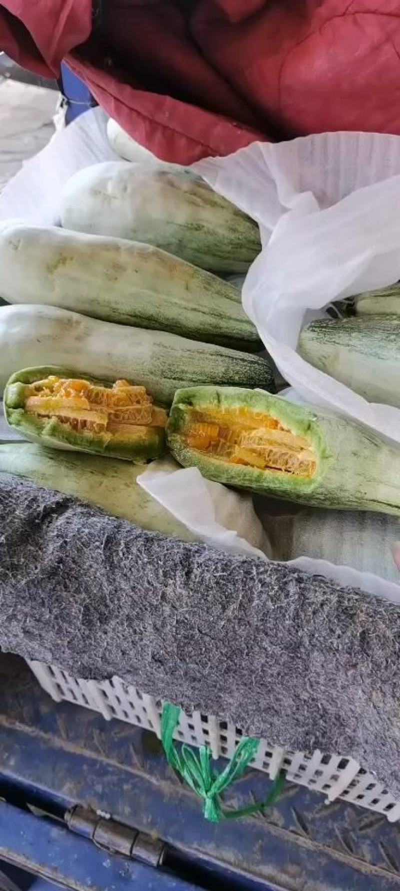 博洋61，博洋65系列甜瓜，口感酥脆蜜甜可口