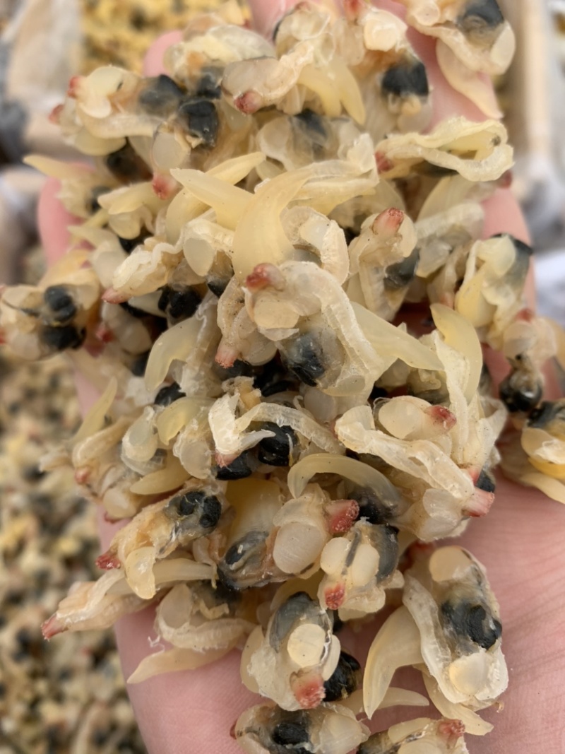 花甲肉，高品质，适合摆地摊，赶大集，易保存